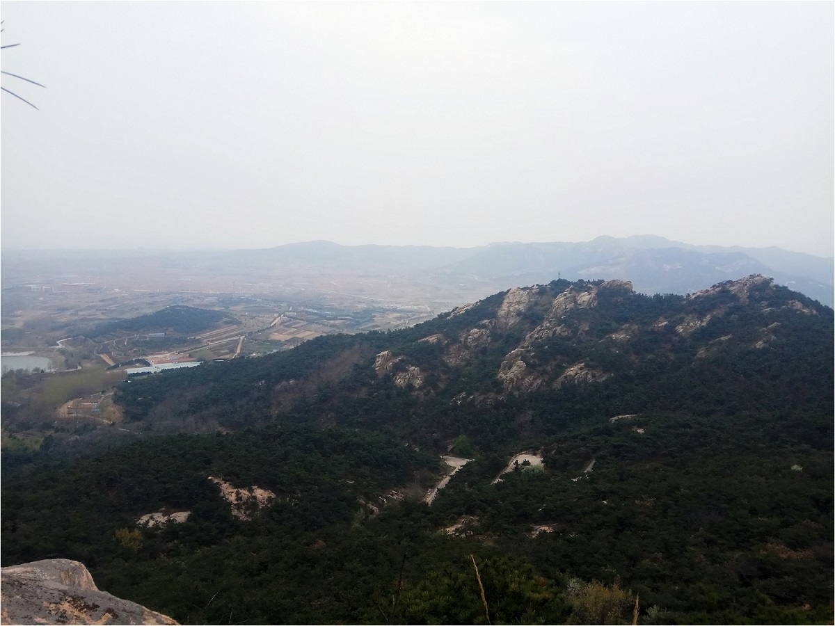 1547452853123277.jpg 7.1.jpg