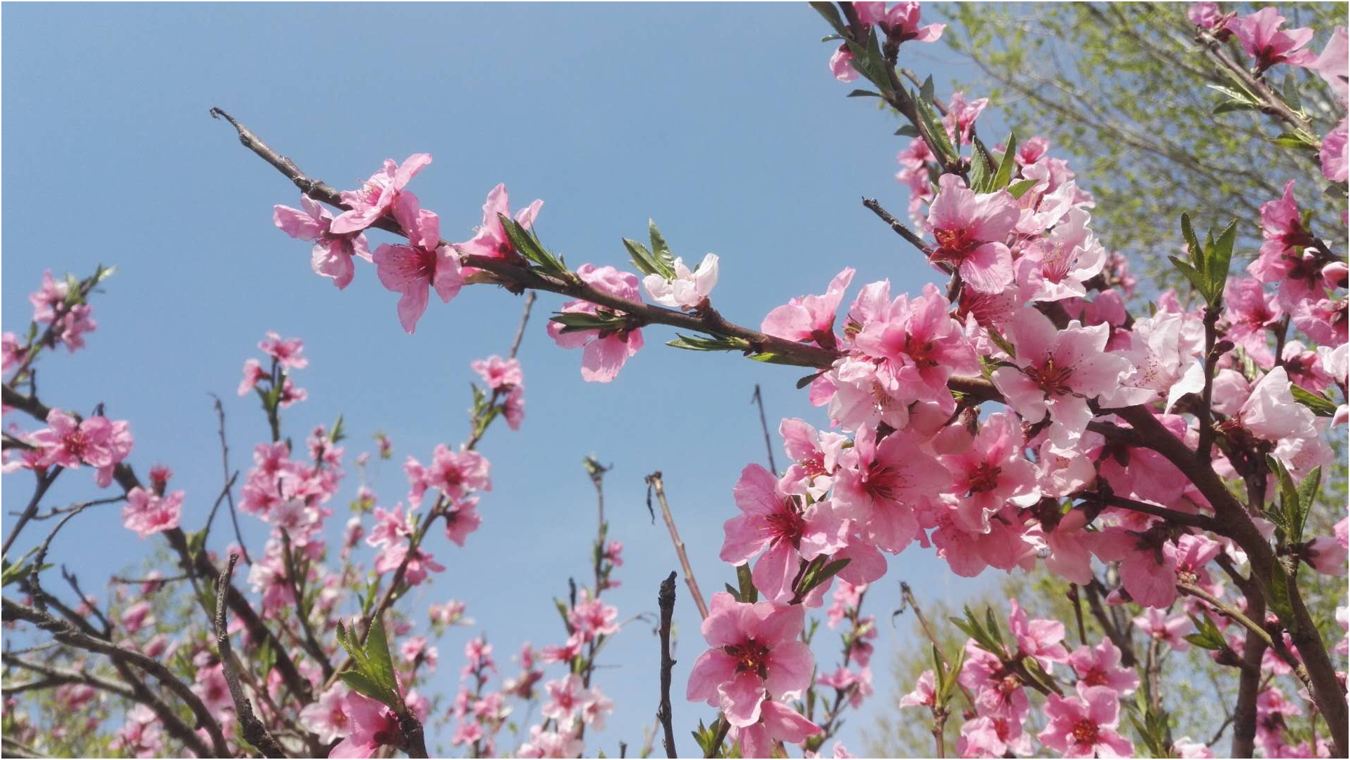 1547452865869241.png 8.png