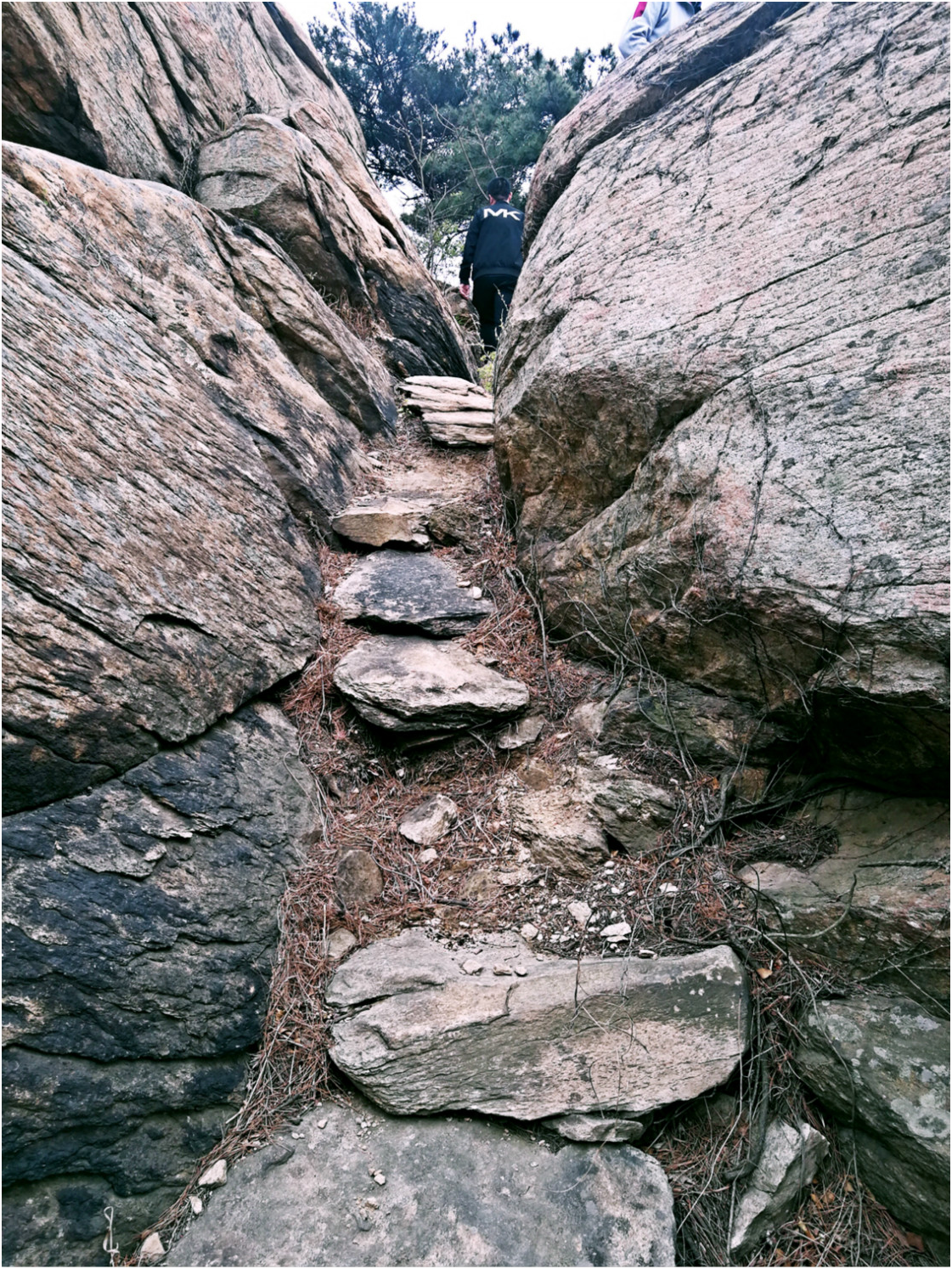 1547452900348858.png 10.png