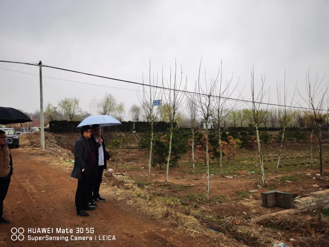 1615950532394495.jpg 2.webp.jpg